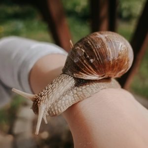 Tagesmutter Stuhr Heiligenrode